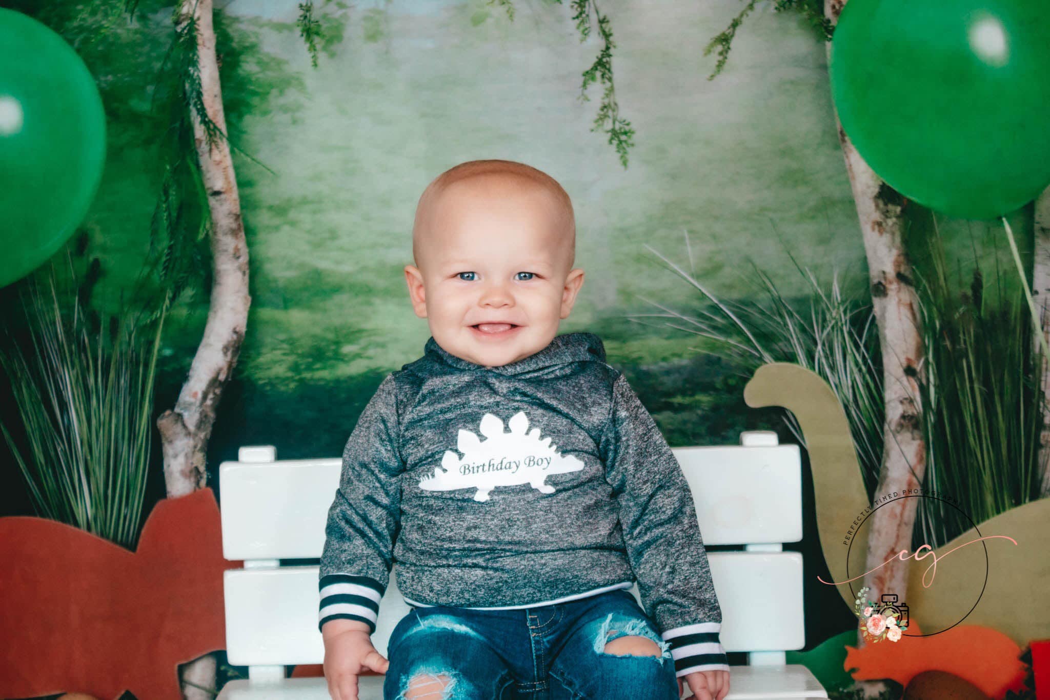 Kate Rainforest Wonderland with Dinosaur Balloons Backdrop - Kate Backdrop AU