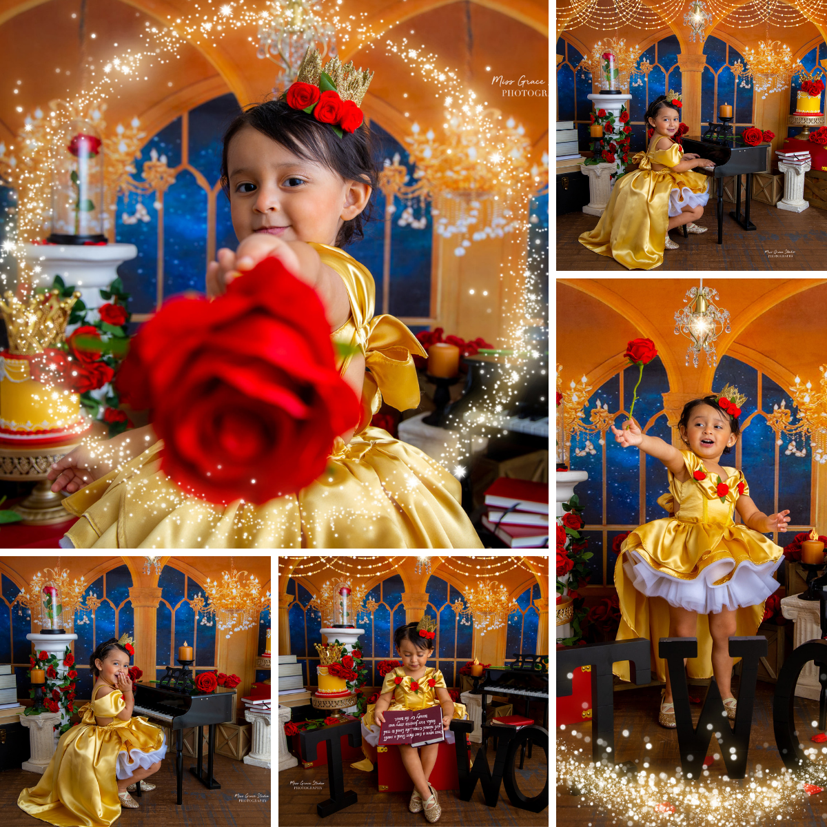 Kate Beauty and the Beast Window Chandelier Backdrop Designed By Jerry_Sina