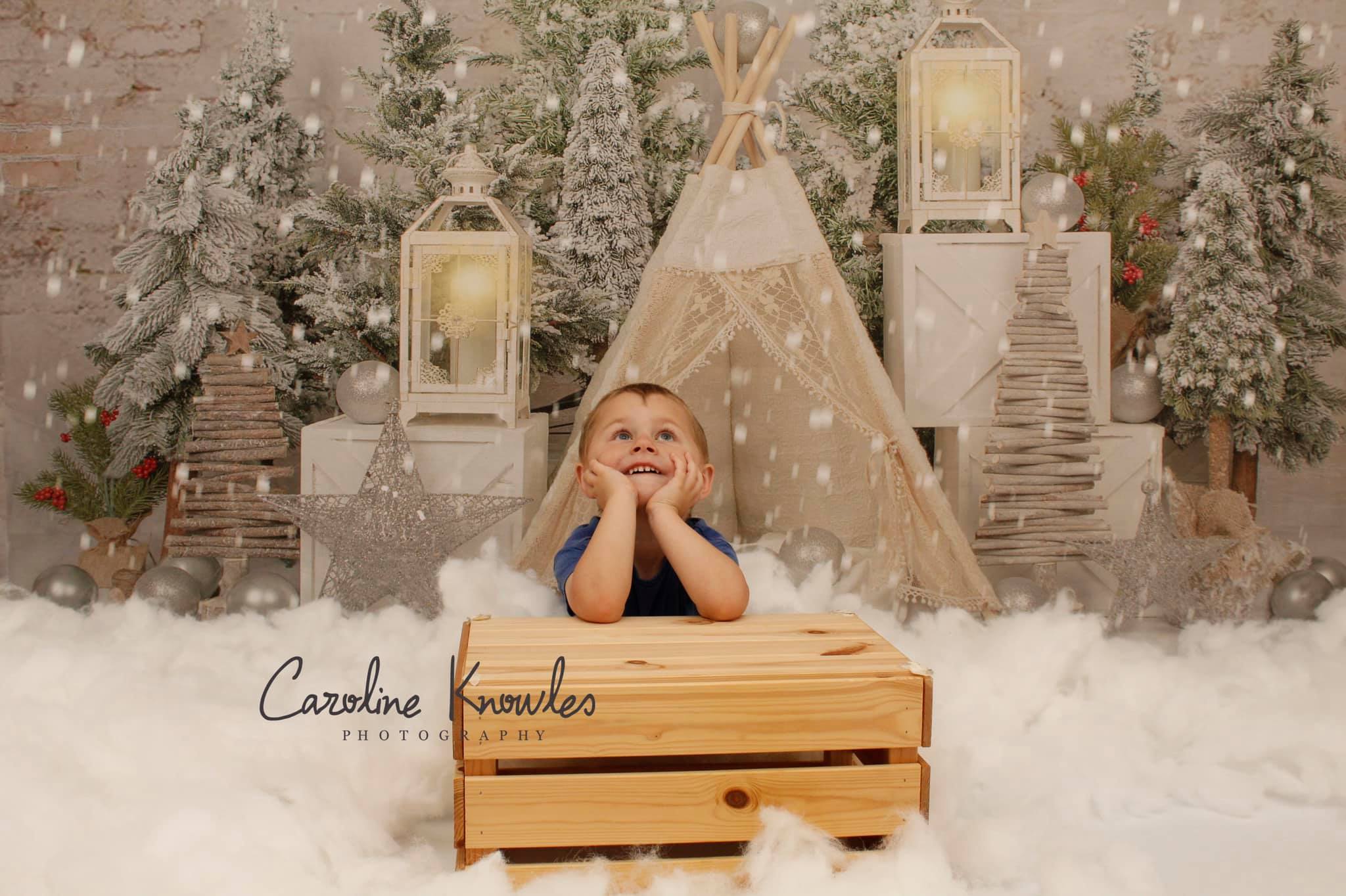 Kate Christmas Trees Tent Backdrop Designed by Emetselch - Kate Backdrop AU