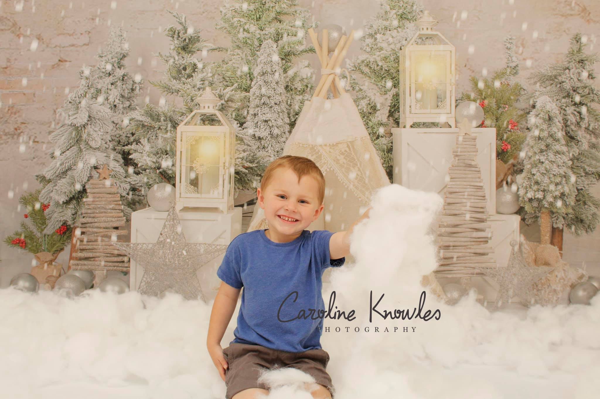 Kate Christmas Trees Tent Backdrop Designed by Emetselch