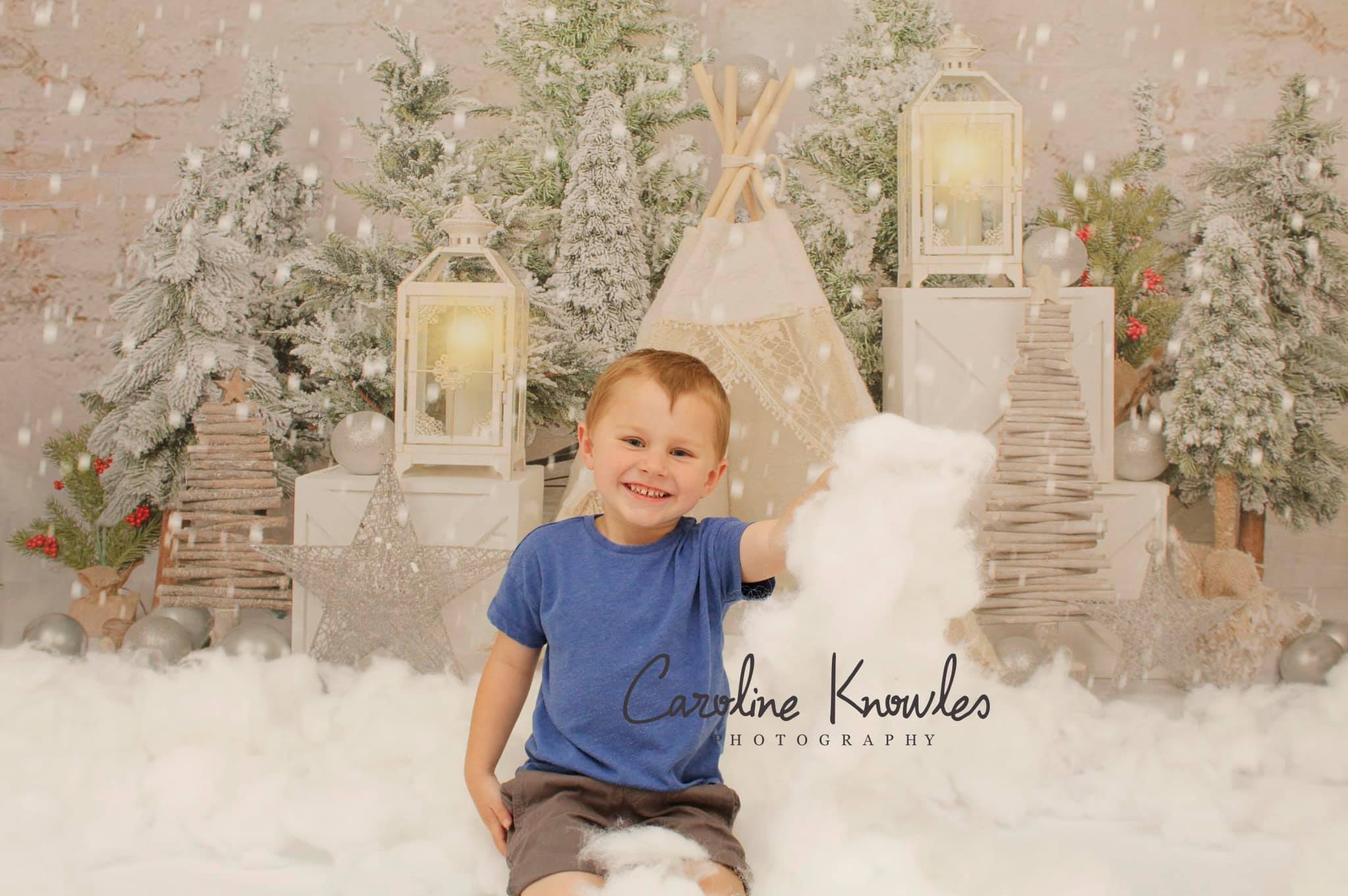 Kate Christmas Trees Tent Backdrop Designed by Emetselch - Kate Backdrop AU