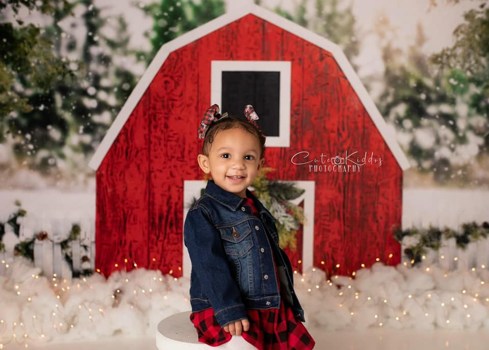 Kate Winter Red Barn Backdrop Designed By Arica Kirby - Kate Backdrop AU