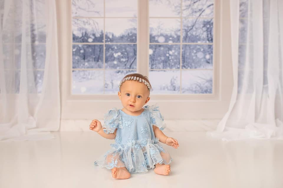 Kate Window Backdrop Winter Snow Garden Designed by Emetselch - Kate Backdrop AU