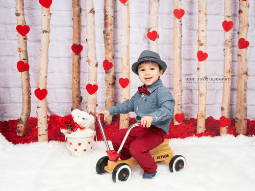 Kate Valentine's Day Roses Wooden Stick Backdrop Designed by Jia Chan Photography