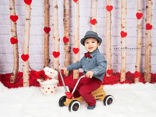 Kate Valentine's Day Roses Wooden Stick Backdrop Designed by Jia Chan Photography - Kate Backdrop AU