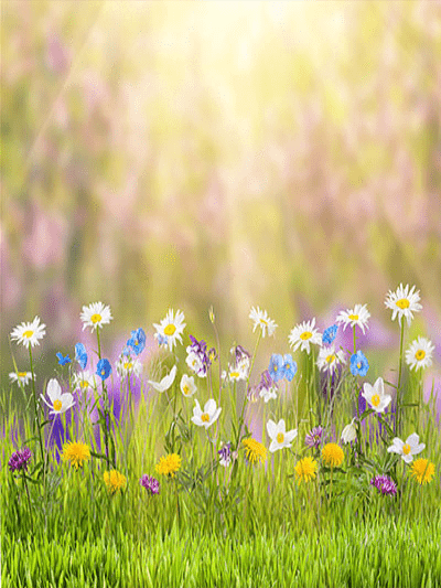 Katebackdrop£ºKate Spring Natural Scenic Easter Colorful Flowers Photography Backdrop