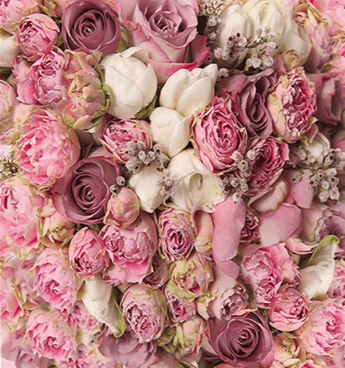 Katebackdrop£ºKate Pink White Flowers For Wedding Photo Studio Valentine's Day Backdrops