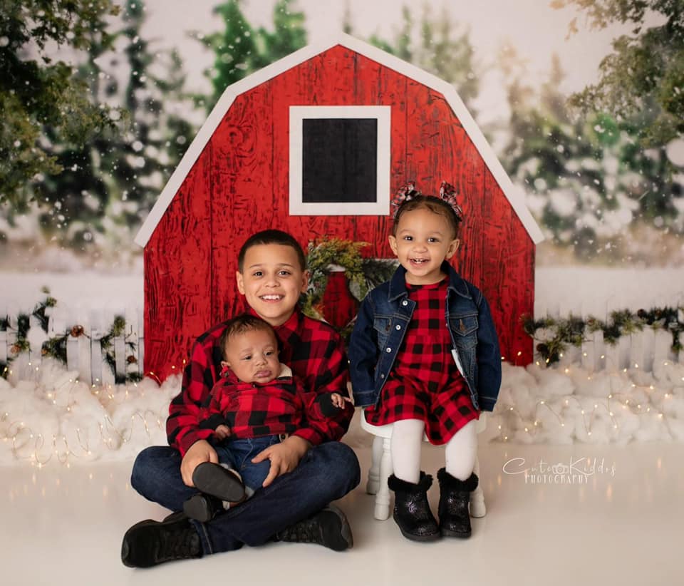 Kate Winter Red Barn Backdrop Designed By Arica Kirby - Kate Backdrop AU