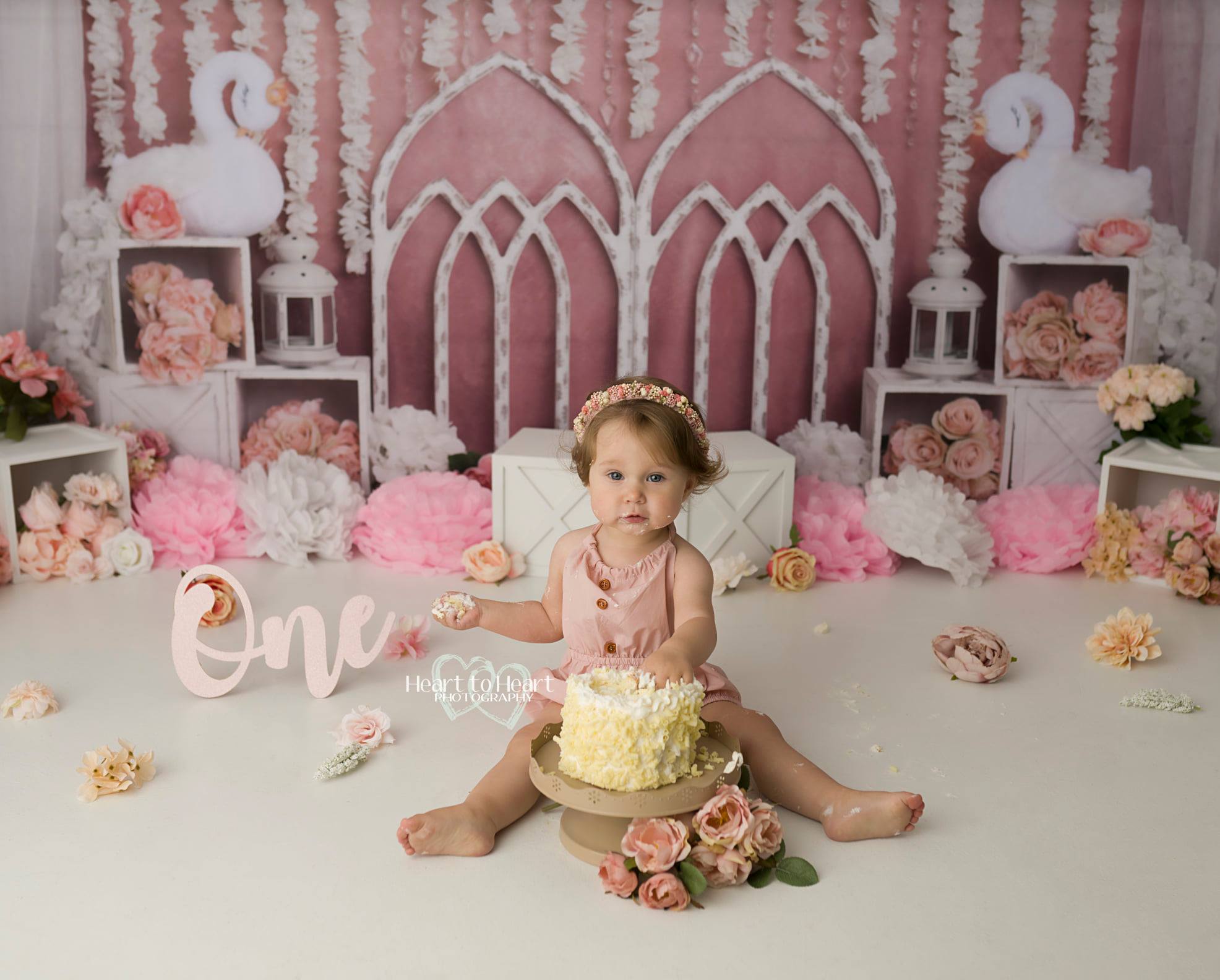Kate Pink Swan Cake Smash Girly Backdrop for Photography Designed by Lisa B - Kate Backdrop AU