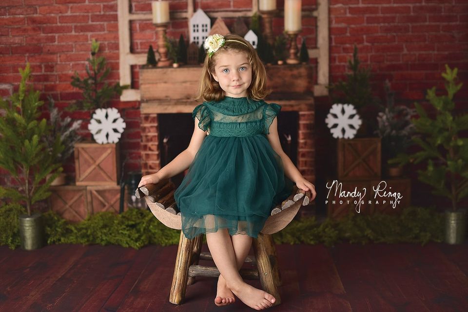 Kate Christmas Magic Brick Backdrop for Photography Designed By Mandy Ringe Photography - Kate Backdrop AU