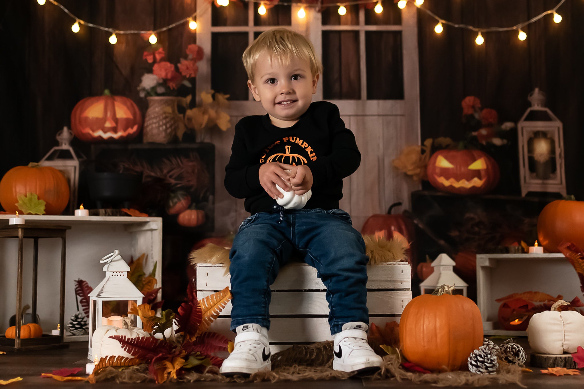 Kate Autumn/Thanksgiving Pumpkins Lights Backdrop Designed by Jia Chan Photography