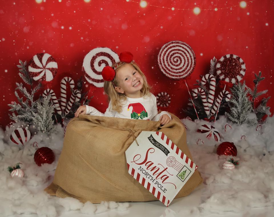 Kate Christmas Peppermint Wonderland Backdrop Designed by Mandy Ringe Photography