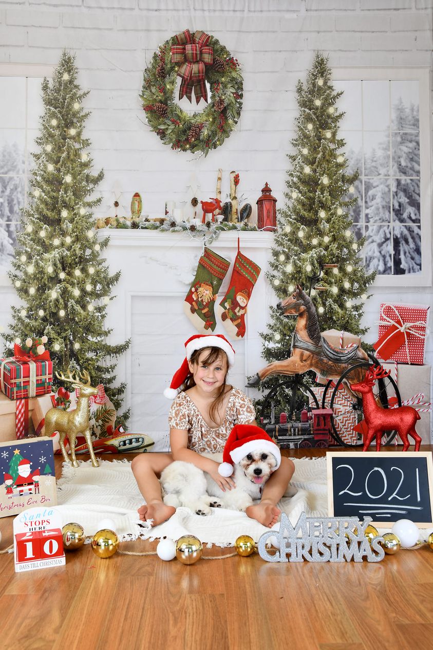 Kate Christmas Backdrop Windows Fireplace & Xmas Trees Designed By JS Photography