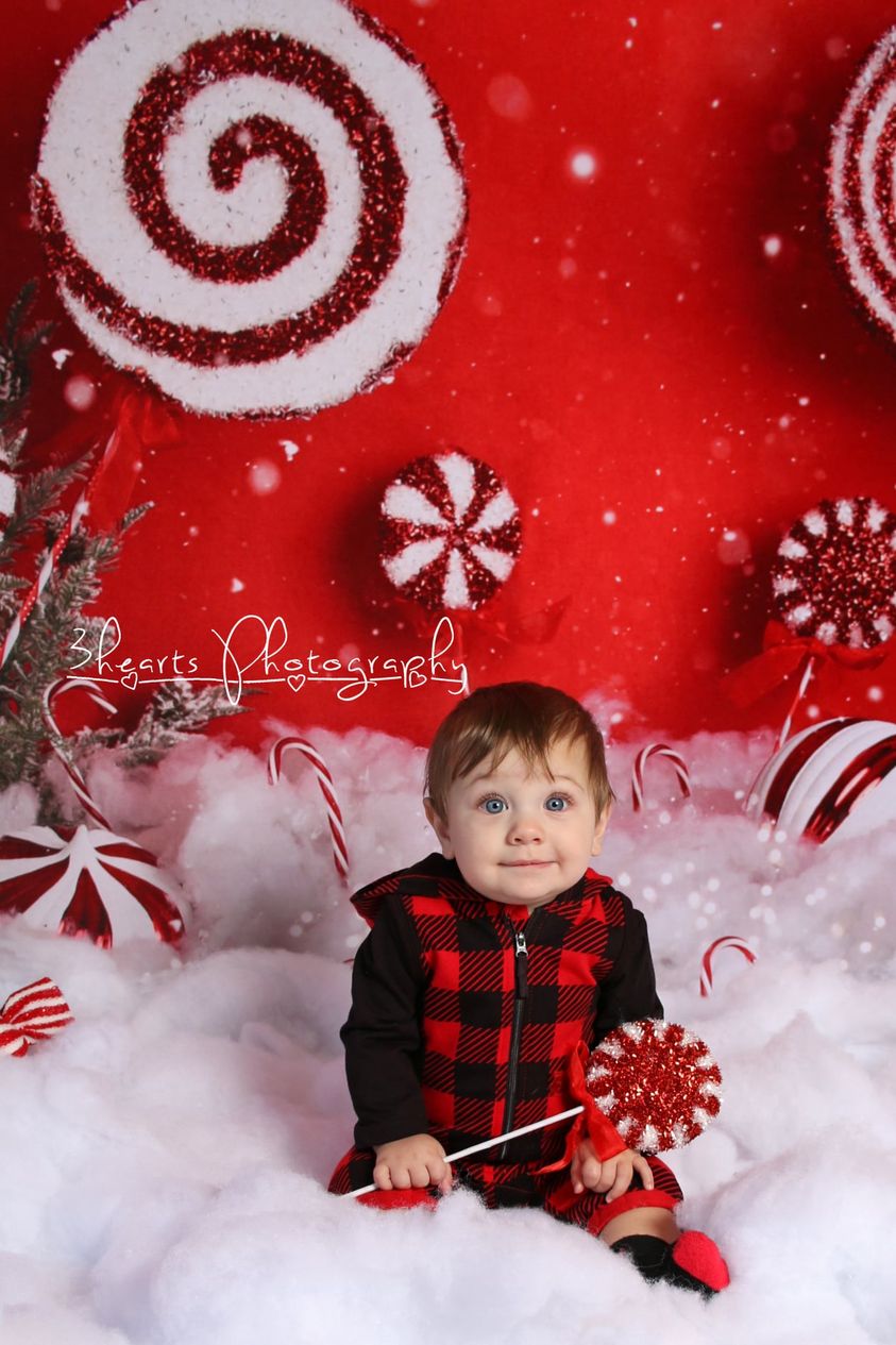 Kate Christmas Peppermint Wonderland Backdrop Designed by Mandy Ringe Photography - Kate Backdrop AU