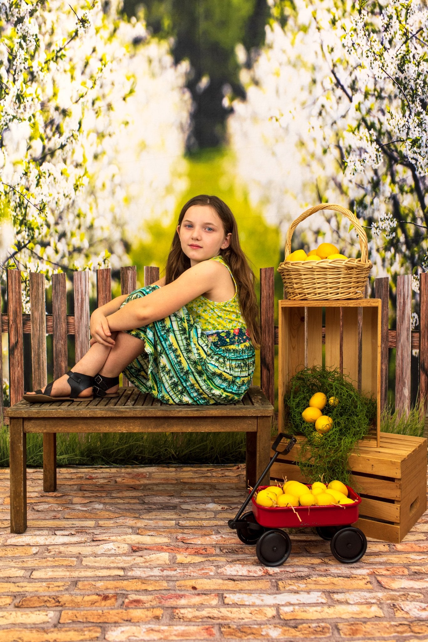 Kate Primary Color Brick Wall Backdrop Designed by Kate Image - Kate Backdrop AU