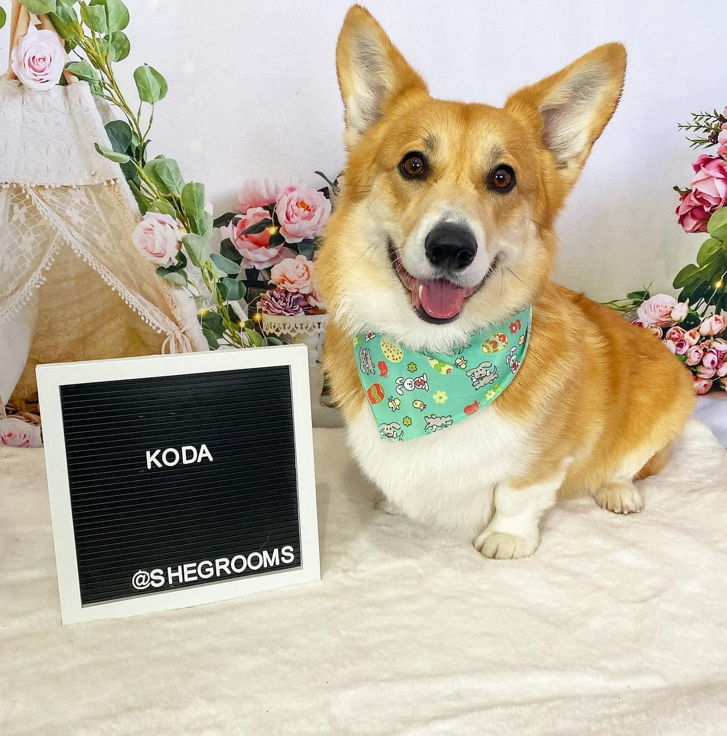 Kate Boho Valentine's Day Tent Backdrop Birthday Designed by Emetselch - Kate Backdrop AU
