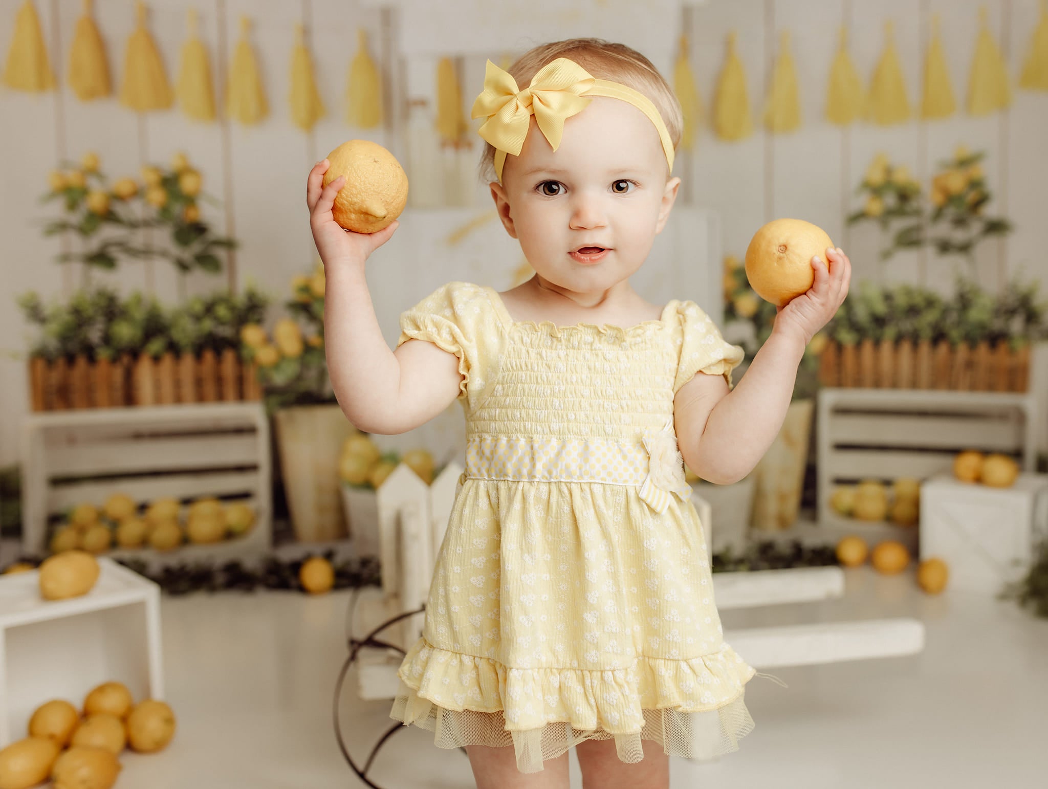 Kate Summer Lemon Store Backdrop Designed by Jia Chan Photography