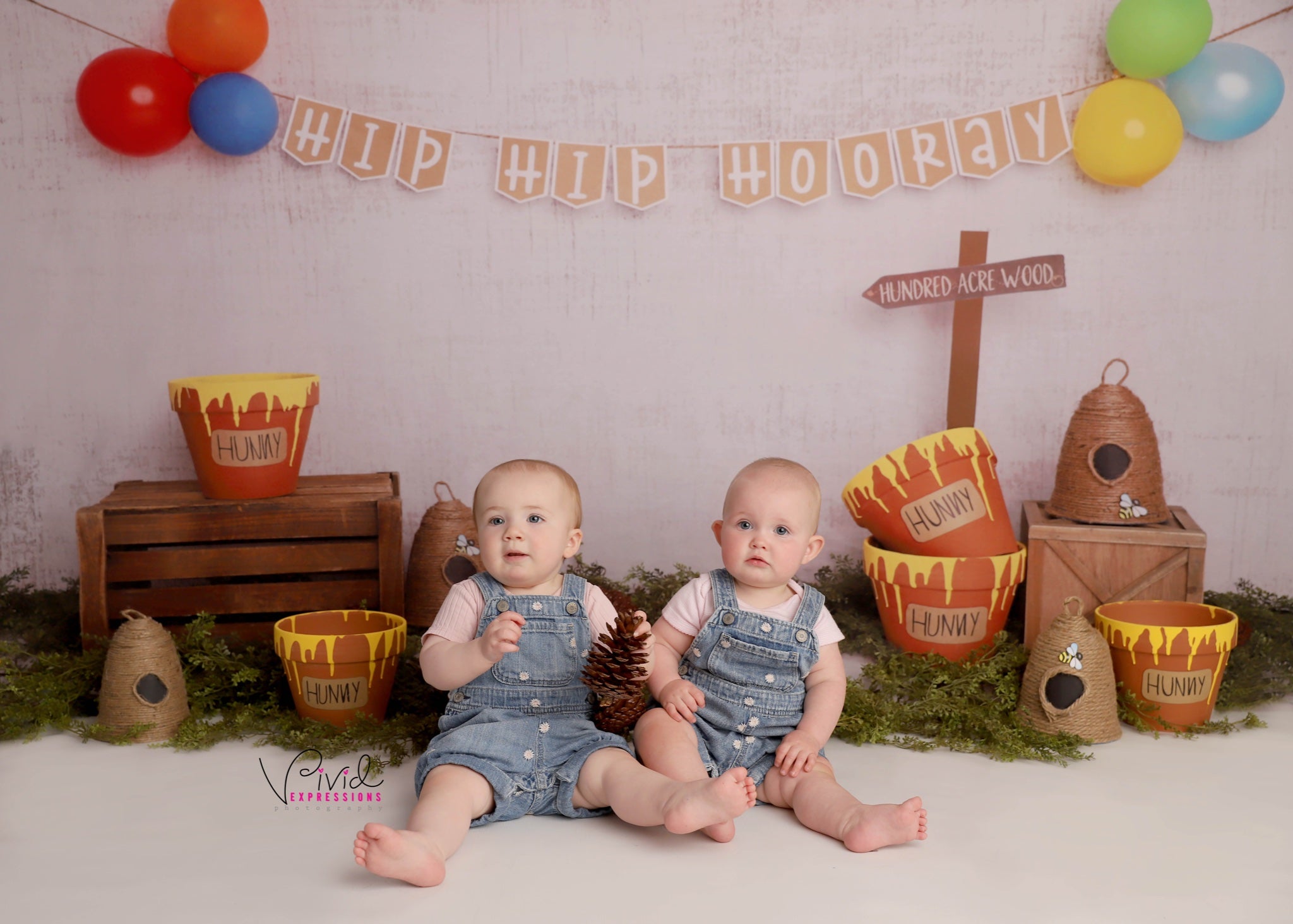 Kate Pooh Cake Smash Bee Birthday Backdrop Designed by Melissa King - Kate Backdrop AU