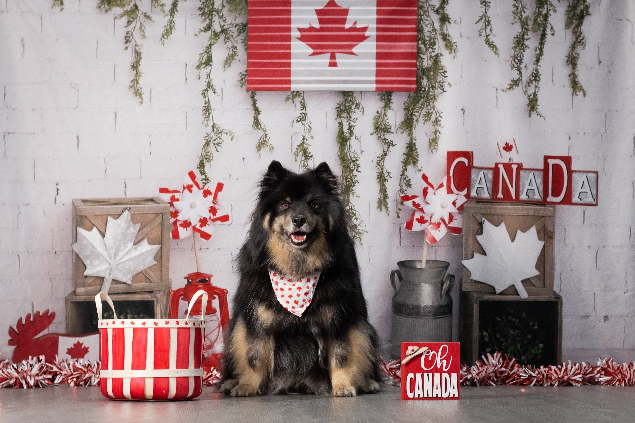 Kate Canada Day Flag Backdrop Designed by Melissa King