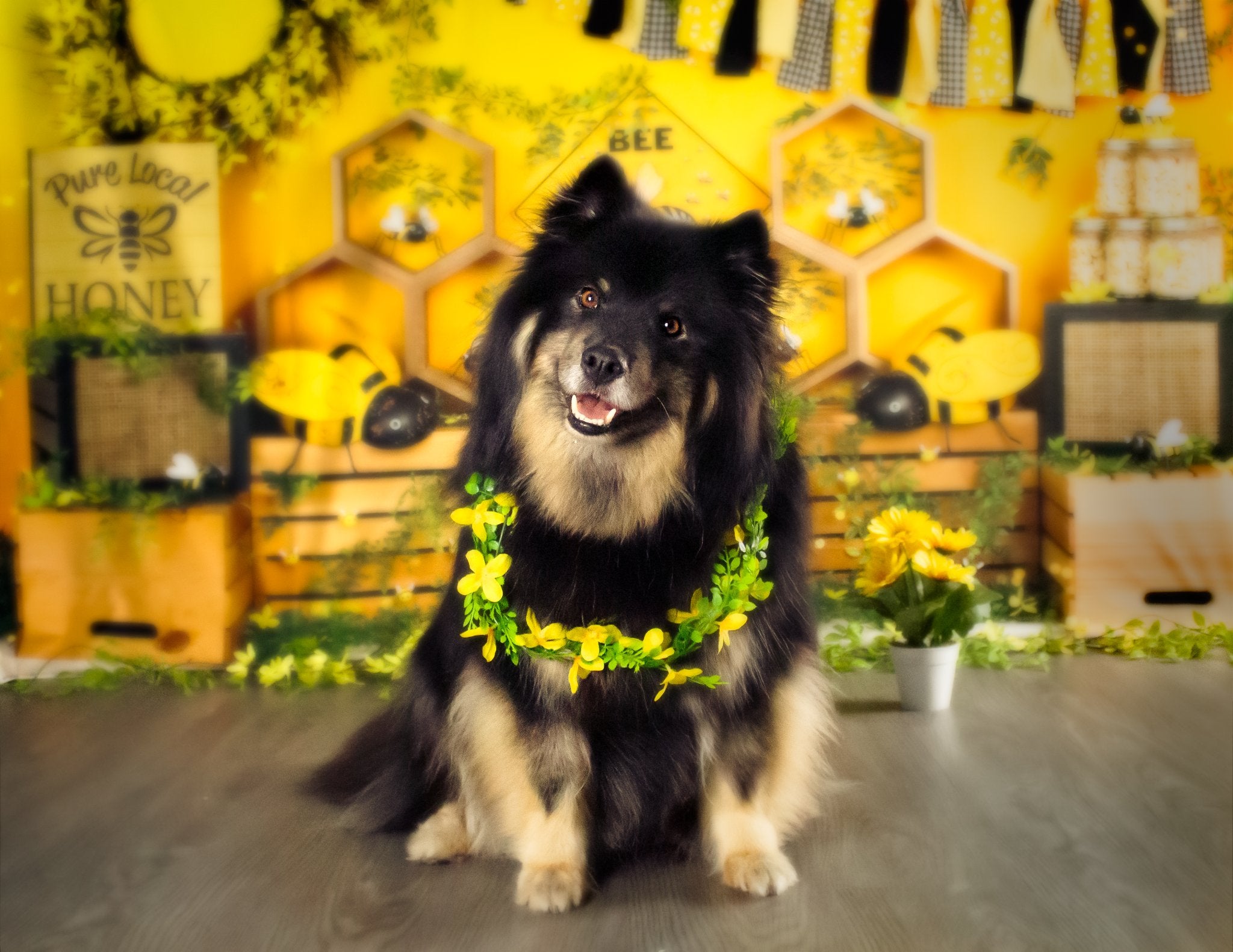 Kate Bokeh Summer Cake Smash Bee Honey Backdrop for Photography - Kate Backdrop AU