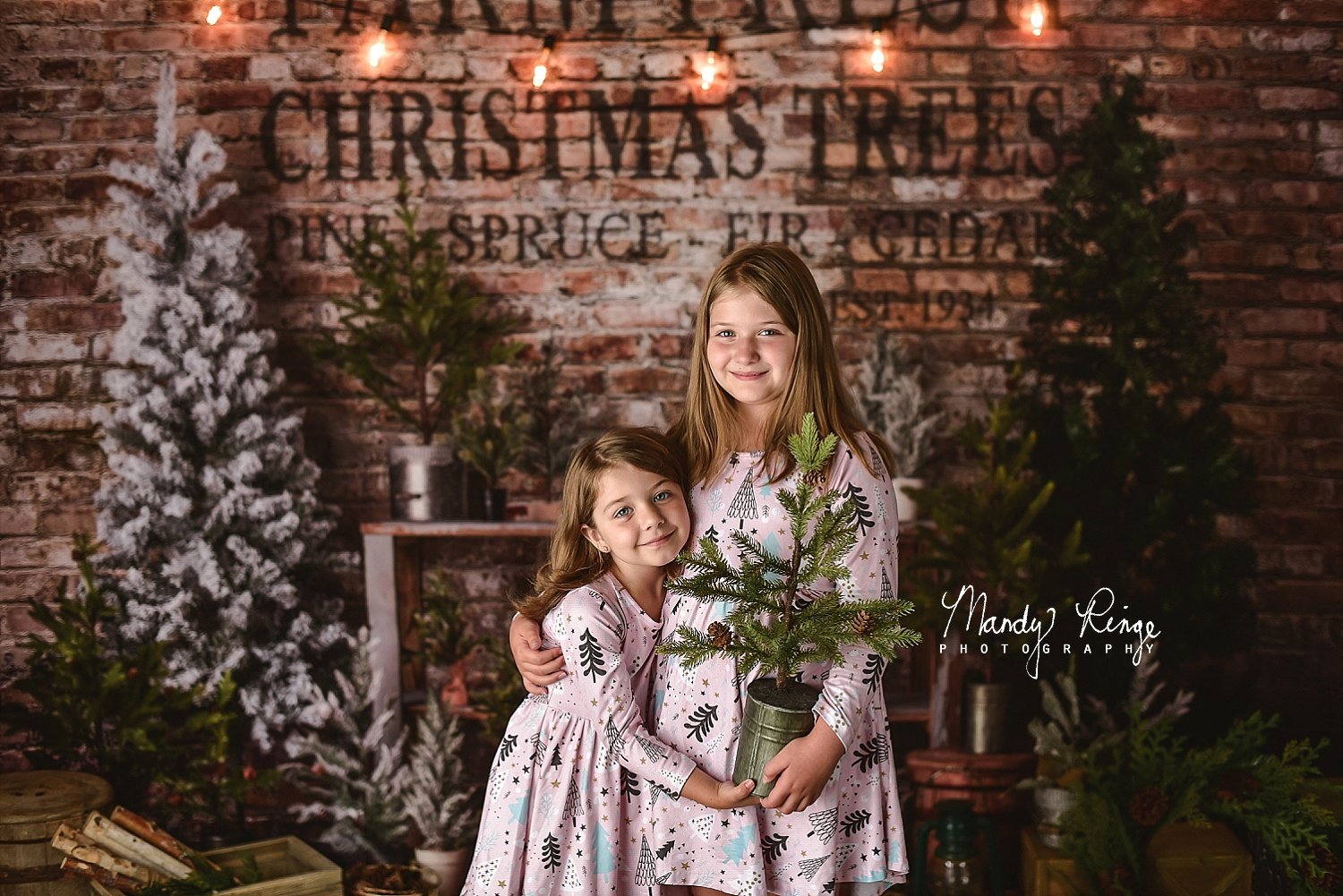 Kate Farm Fresh Backdrop Tree Stand Christmas Designed by Mandy Ringe Photography