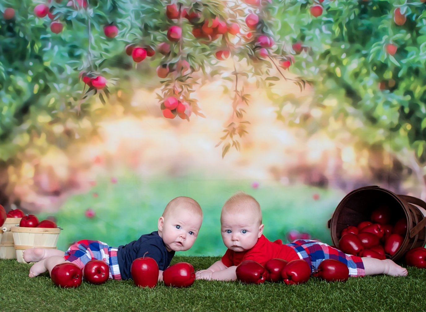 Kate Apple Orchard Summer Backdrop for Photography Designed by Lisa Granden - Kate Backdrop AU