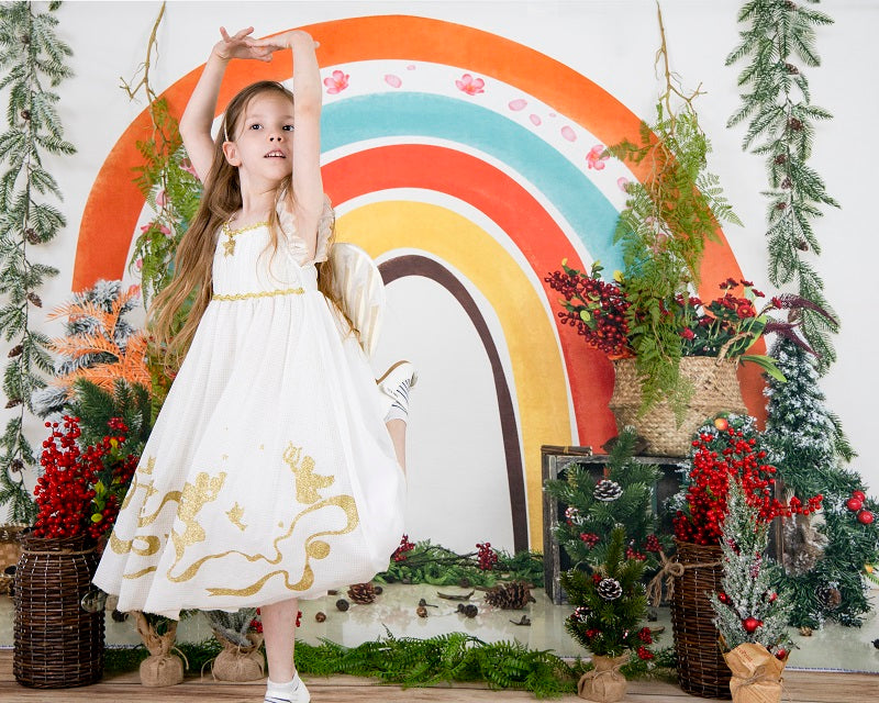 Kate Christmas Rainbow Boho Backdrop Designed by Emetselch - Kate Backdrop AU