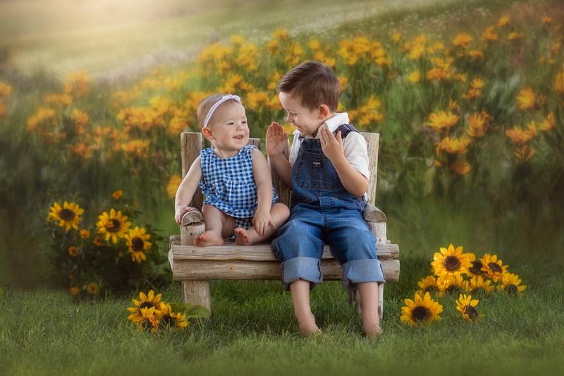 Kate Mountain Meadow Backdrop for Photography Designed by Lisa Granden - Kate Backdrop AU