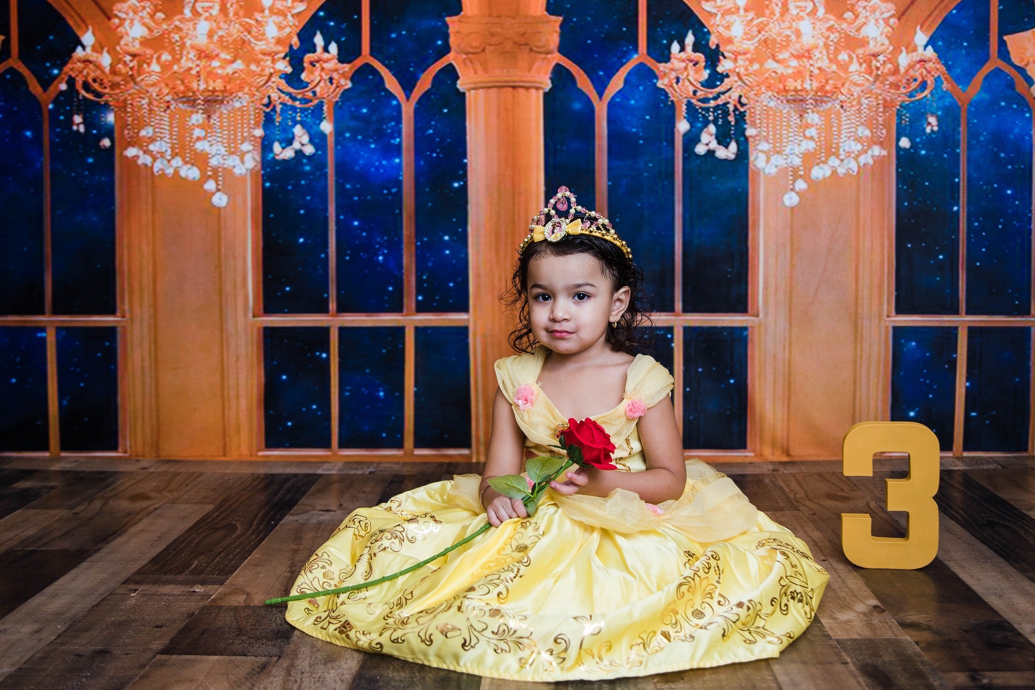 Kate Beauty and the Beast Window Chandelier Backdrop Designed By Jerry_Sina - Kate Backdrop AU