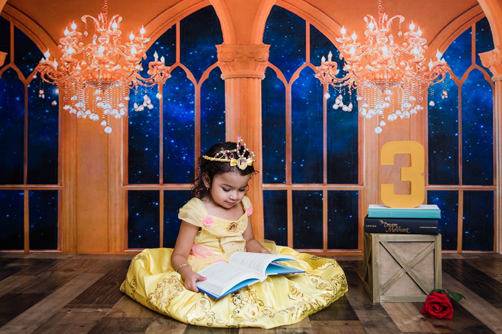 Kate Beauty and the Beast Window Chandelier Backdrop Designed By Jerry_Sina - Kate Backdrop AU