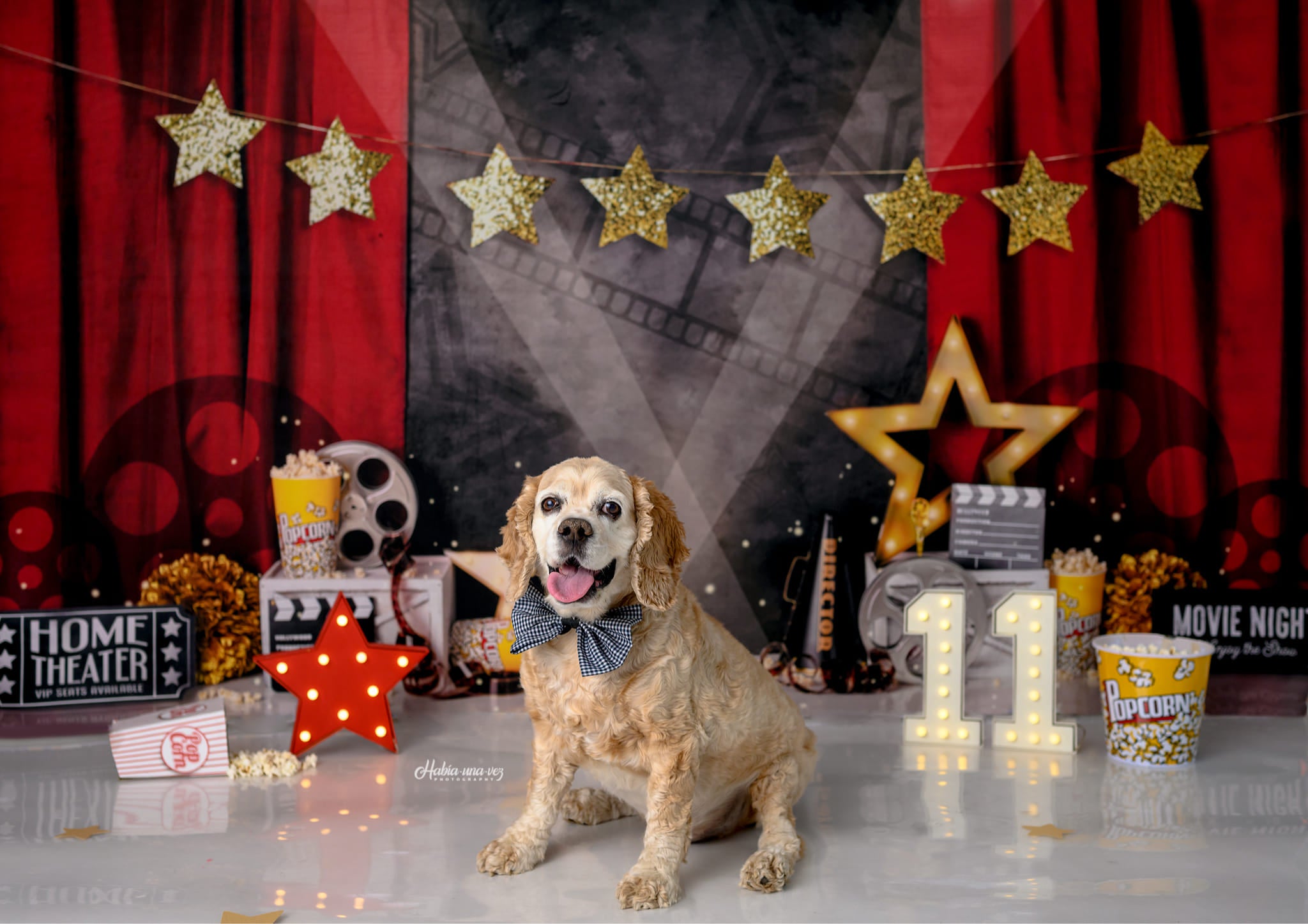 Kate Movie Night Backdrop Red Curtain Designed by Mandy Ringe Photography
