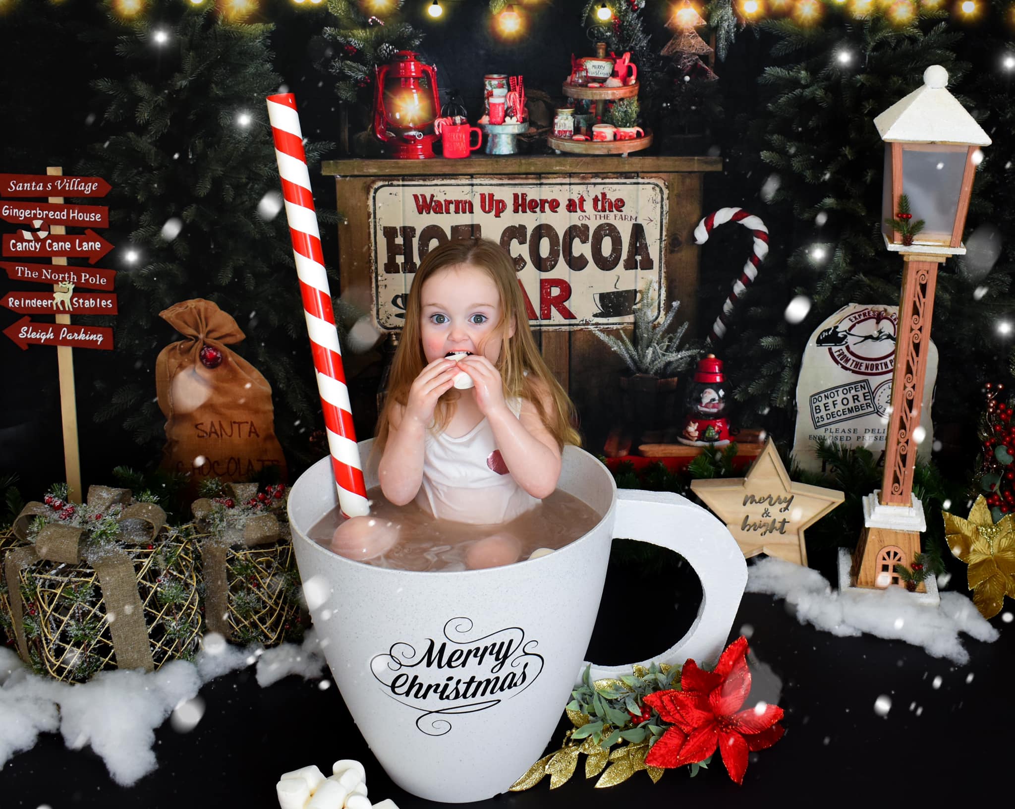 Kate Christmas Backdrop Hot Cocoa for Photography
