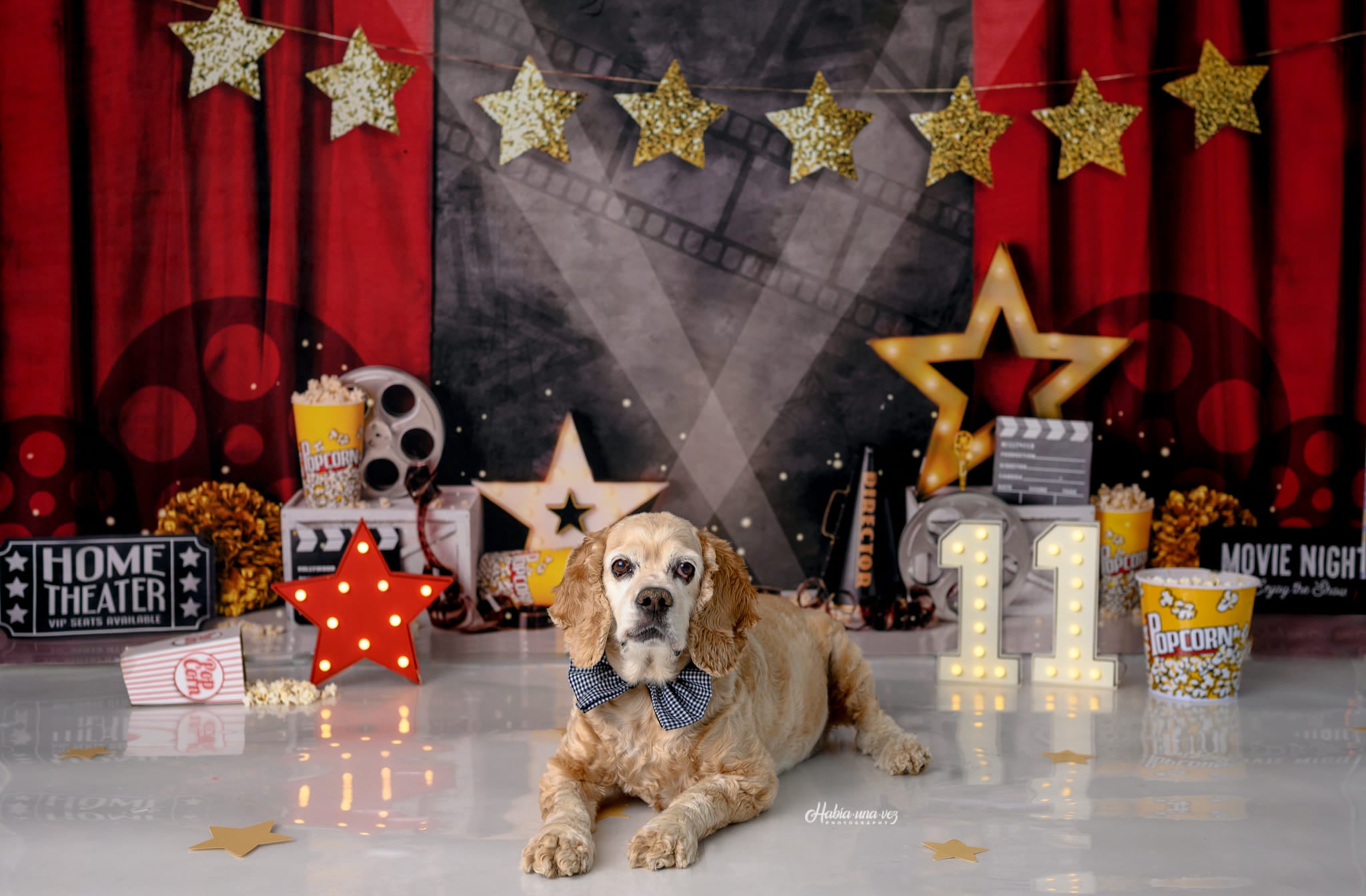 Kate Movie Night Backdrop Red Curtain Designed by Mandy Ringe Photography - Kate Backdrop AU