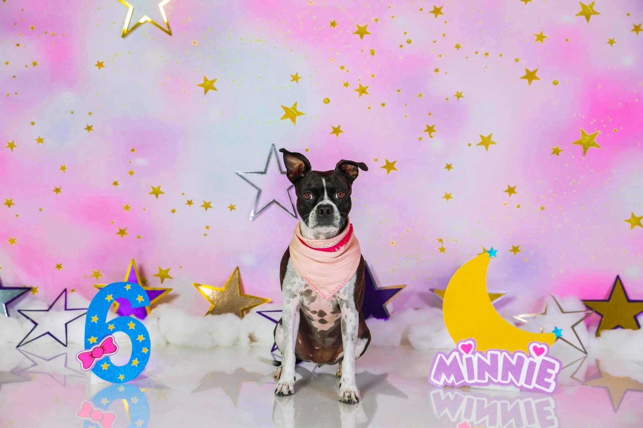 Kate Cake Smash Backdrop Pink Clouds Stars Backdrop Designed By JFCC - Kate Backdrop AU
