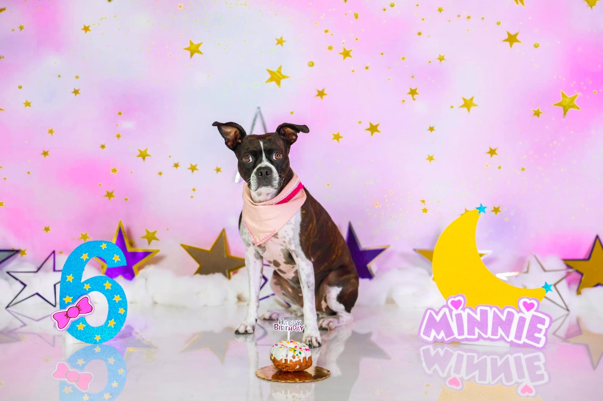 Kate Cake Smash Backdrop Pink Clouds Stars Backdrop Designed By JFCC - Kate Backdrop AU