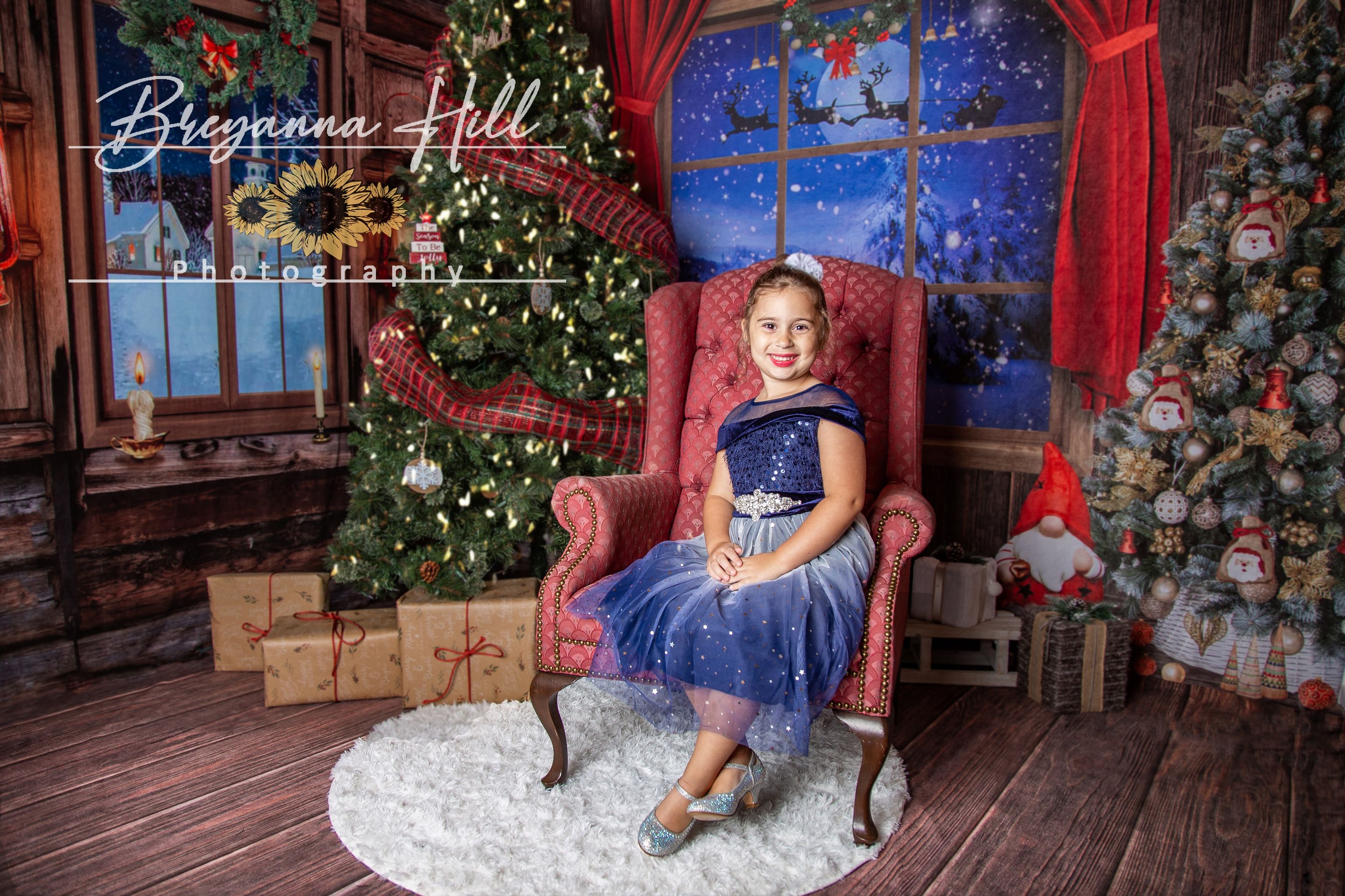 Kate Christmas Trees Indoor Windows Backdrop Room Set - Kate Backdrop AU