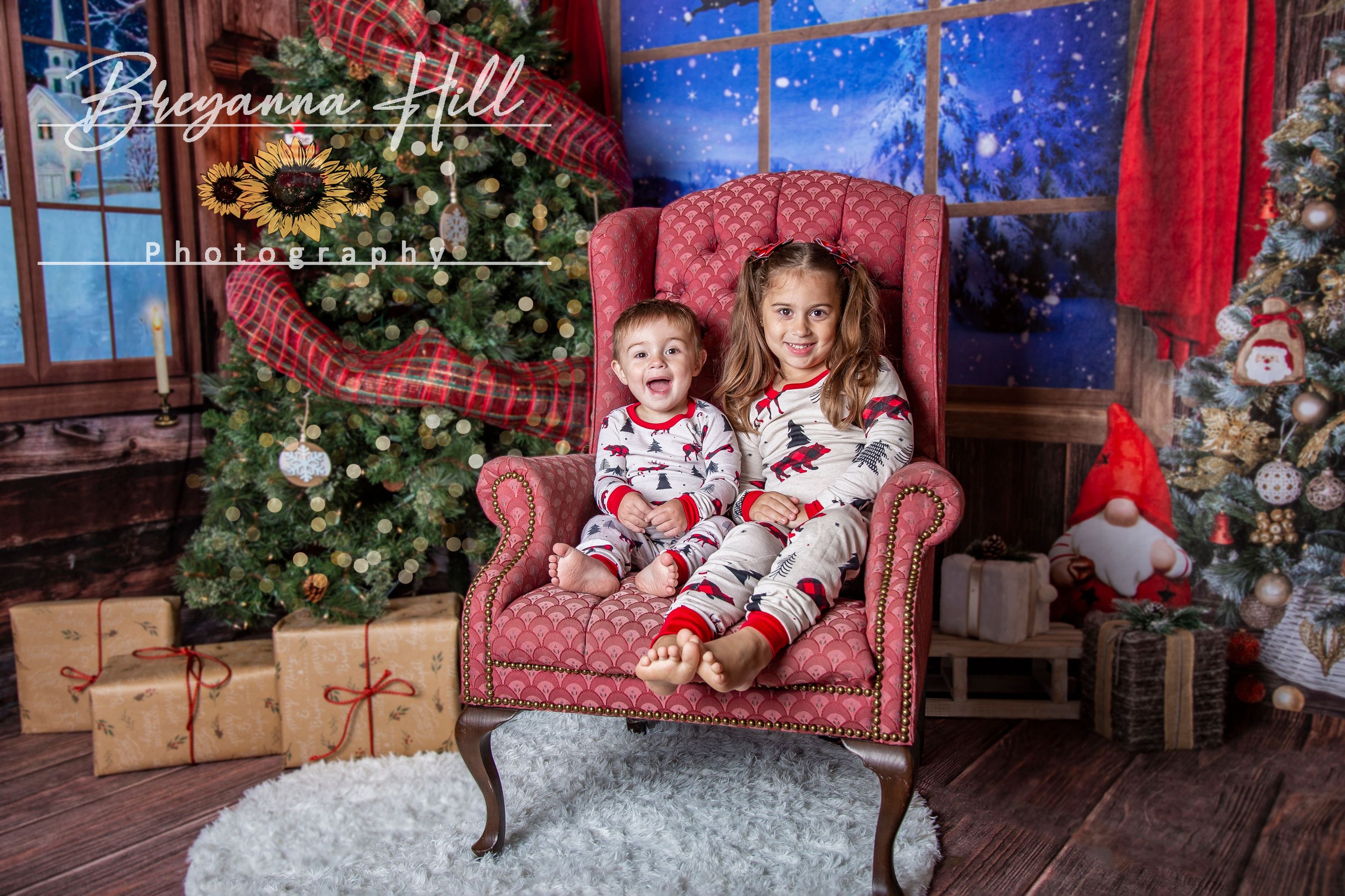 Kate Christmas Trees Indoor Windows Backdrop Room Set - Kate Backdrop AU