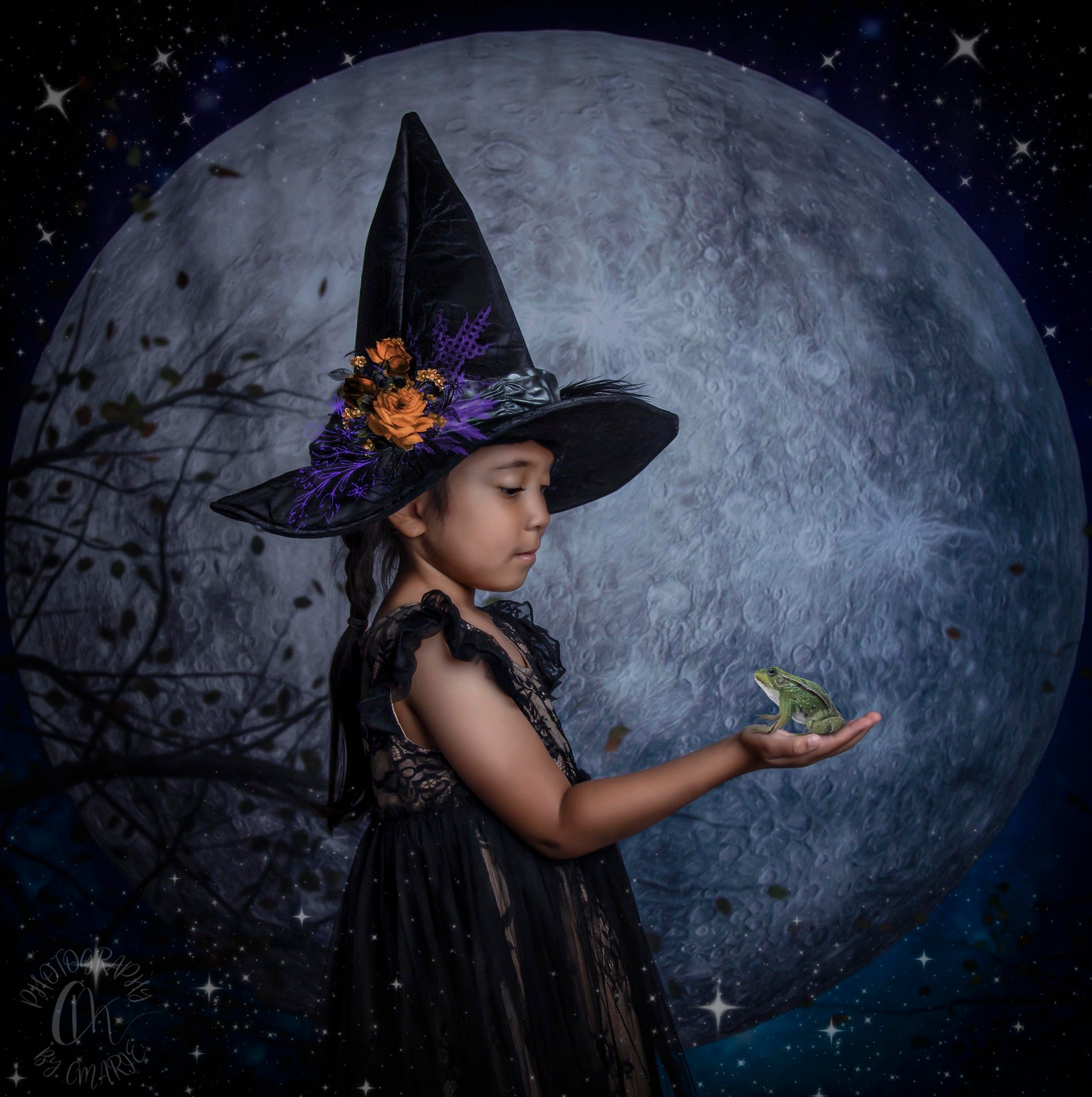 Kate Halloween Autumn Moon Backdrop Designed by Candice Compton