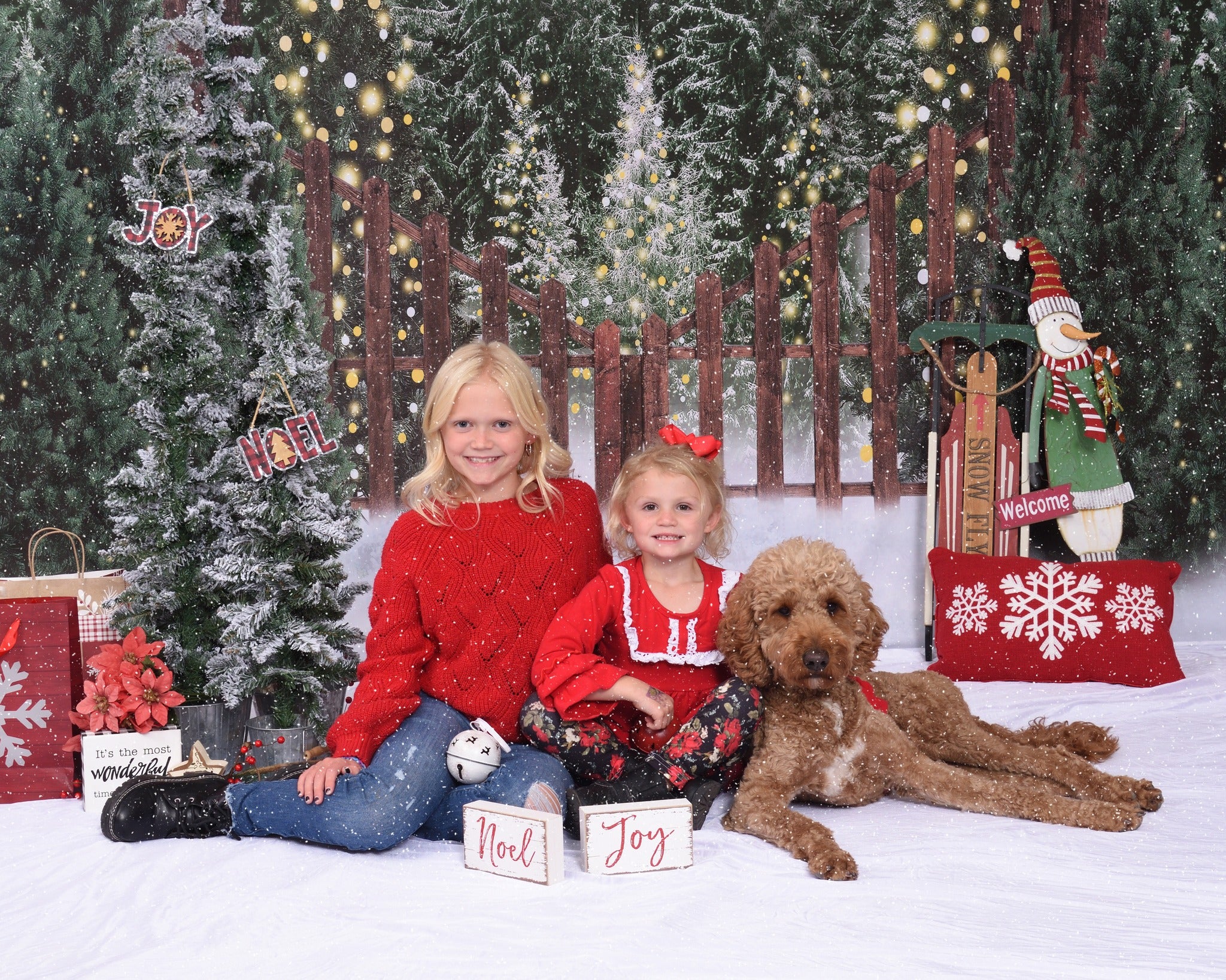 Kate Winter Snow Forest Backdrop for Photography - Kate Backdrop AU