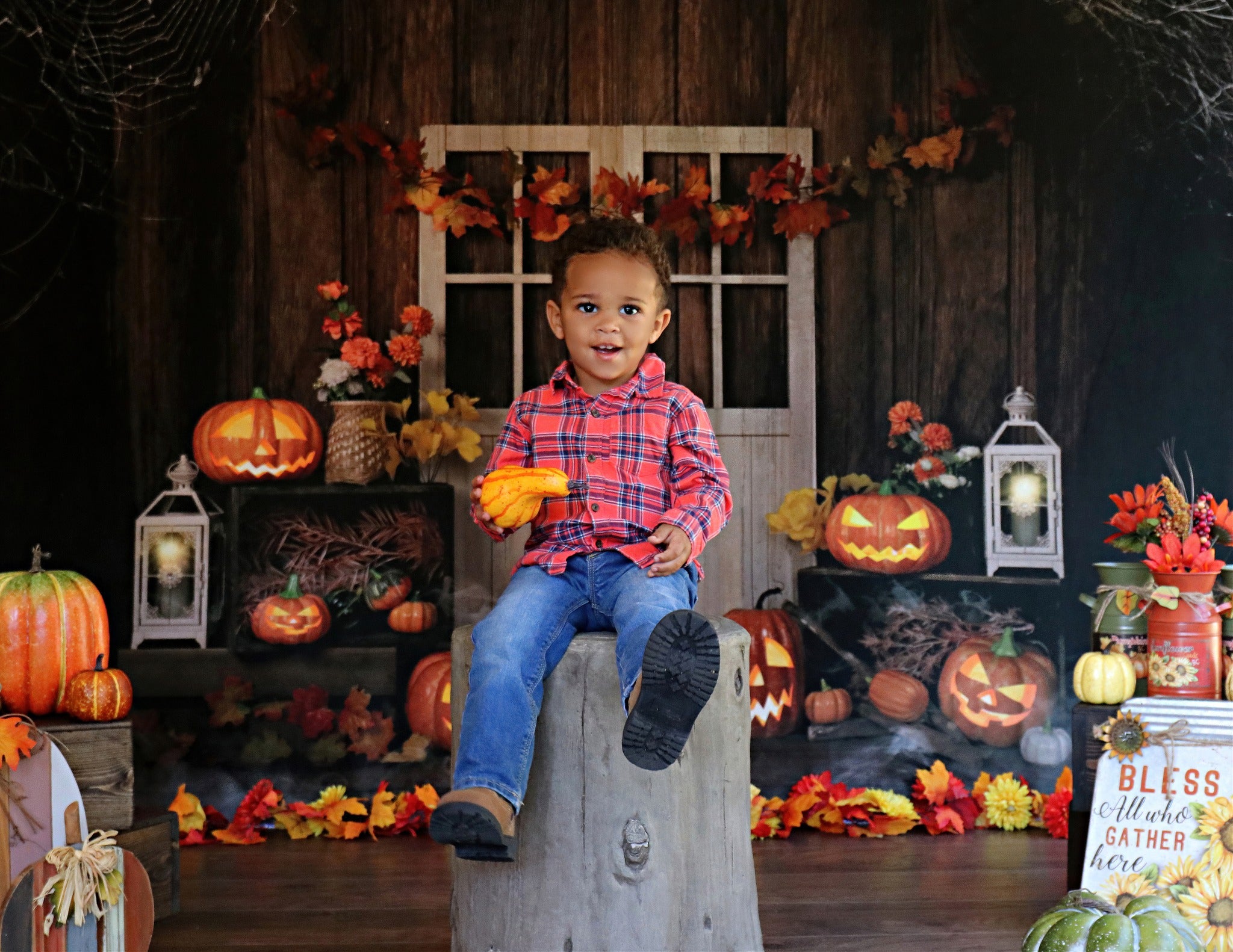 Kate Autumn/Thanksgiving Pumpkins Lights Backdrop Designed by Jia Chan Photography