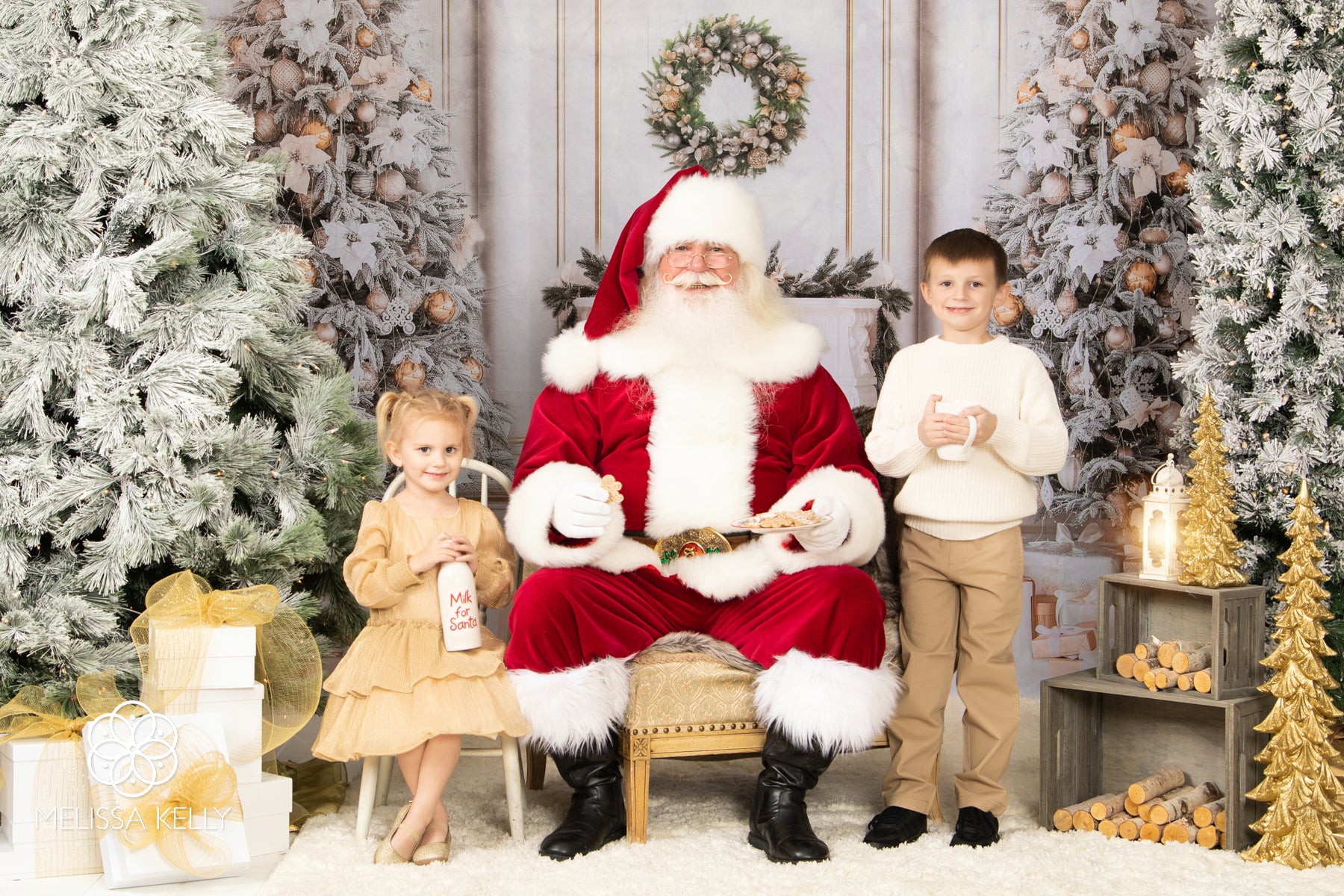 Kate Christmas Tree Backdrop Gift Fireplace for Photography - Kate Backdrop AU