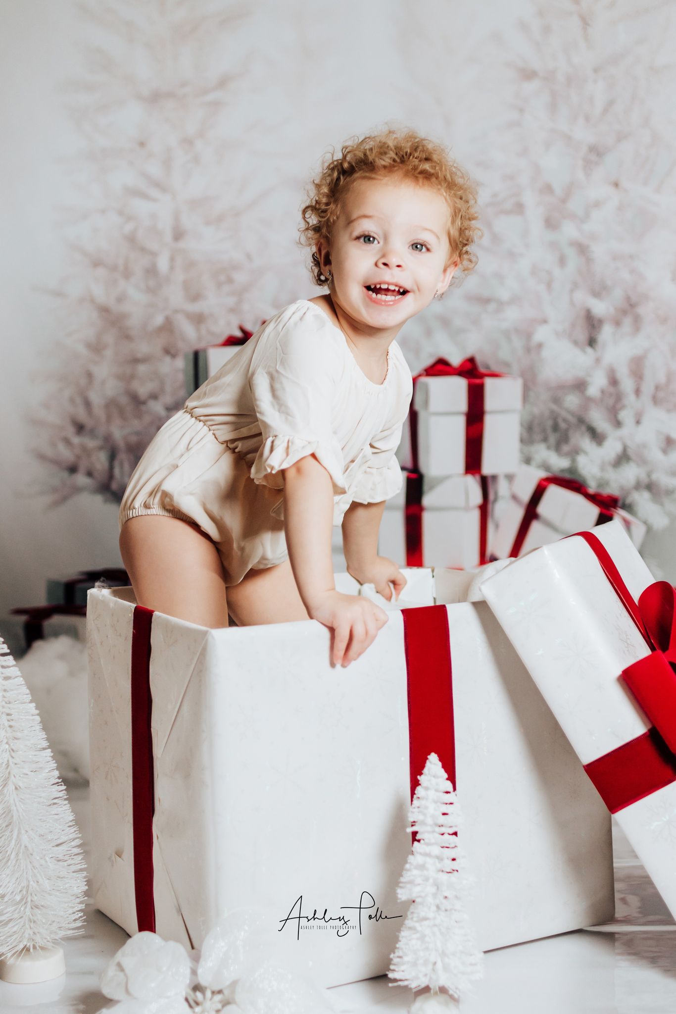 Kate Christmas Gift Snow Tree Backdrop - Kate Backdrop AU