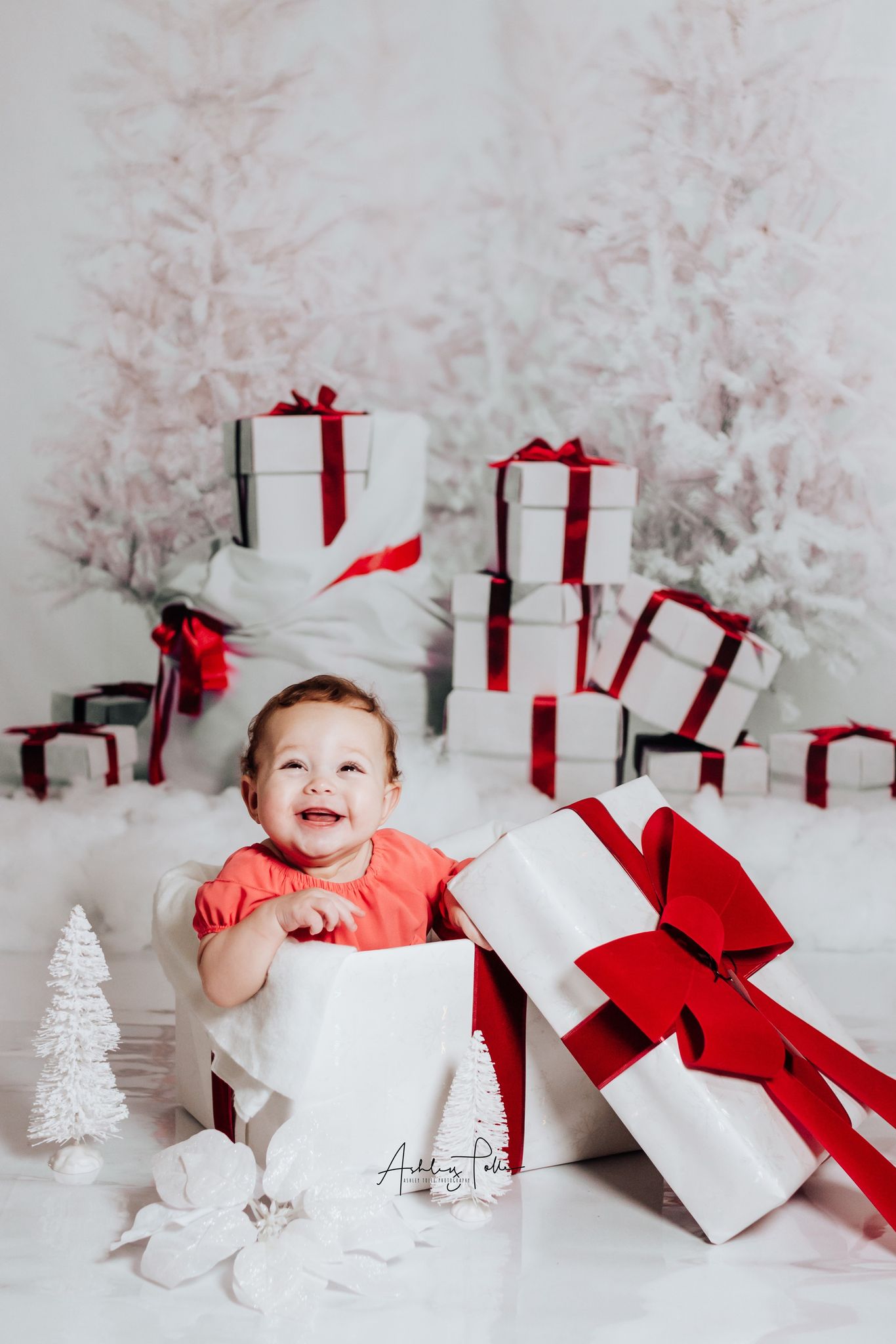 Kate Christmas Gift Snow Tree Backdrop - Kate Backdrop AU