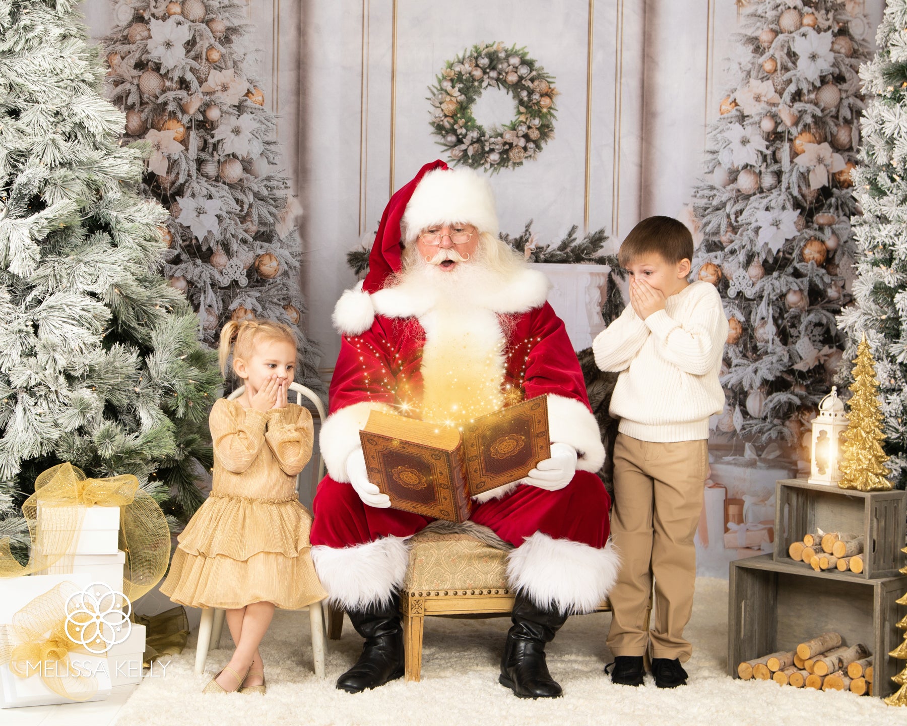 Kate Christmas Tree Backdrop Gift Fireplace for Photography - Kate Backdrop AU