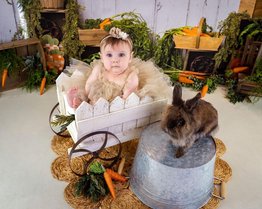Kate Carrot Patch Easter Backdrop Designed by Megan Leigh Photography - Kate Backdrop AU