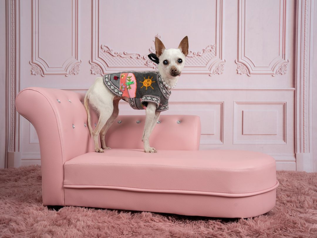 Kate Pink Retro Wall Backdrop Designed by Chain Photography - Kate Backdrop AU