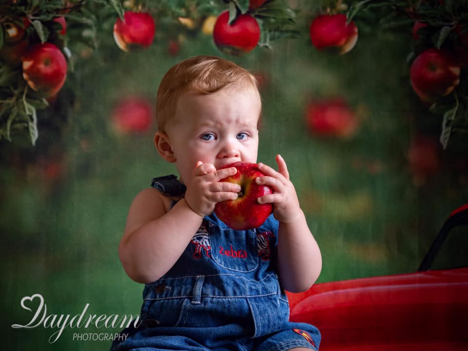 Kate Summer Apple Orchard Red Truck Backdrop Designed by Rosabell Photography