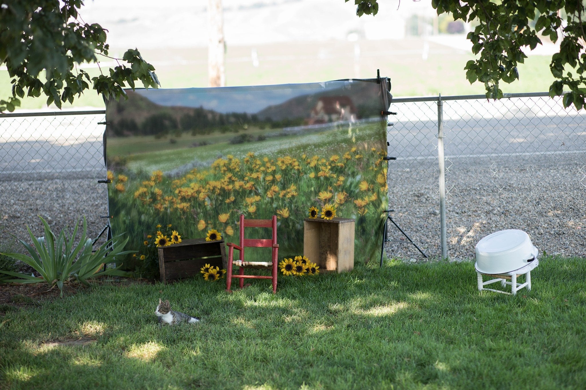 Kate Mountain Meadow Backdrop for Photography Designed by Lisa Granden - Kate Backdrop AU