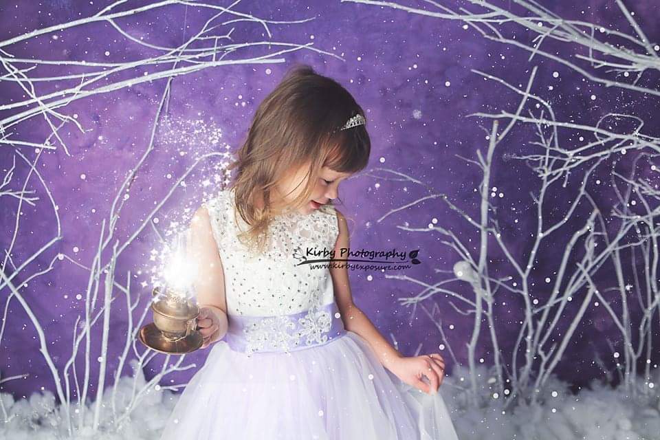Kate Purple Winter Wonderland Snowy Backdrop Designed By Arica Kirby - Kate Backdrop AU