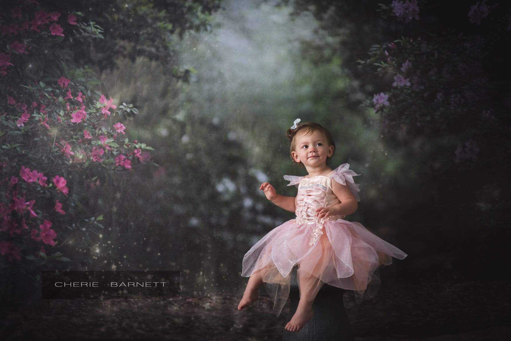 Kate Pink Floral Garden Fairy Lights spring Backdrop for Photography Designed by Pine Park Collection